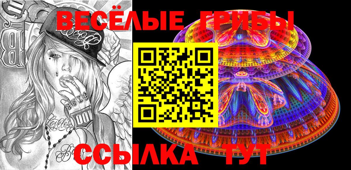 Псилоцибиновые грибы MAGIC MUSHROOMS  Галлюциногенные грибы ЛСД  Вход с VPN  как найти закладки  Киселёвск 